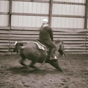 Meet your Posher, Morgan